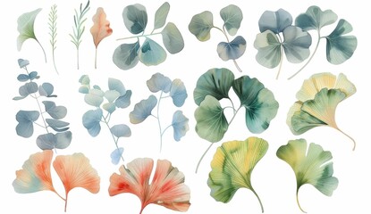 Wall Mural - Watercolor botanical illustrations of various leaves in a soft color palette on a white background