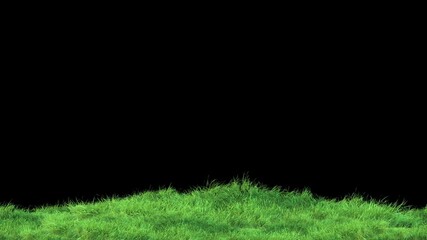 Wall Mural - grass wind noise loop on alpha channel. element footage place on footage or background and easier to