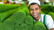 © JVLMediaUHD - Smiling worker poses with rolls of vibrant synthetic grass in a busy marketplace during daytime