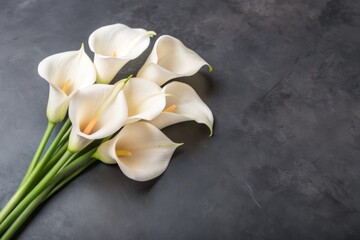 Sleek white calla lily blooms on a soft grey background, conveying elegance and serenity, perfect for sympathy cards, condolences, and grief expression with ample copy space.