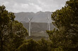 © yaqui_villegas - Wind turbines rise above a dense forest with rugged mountains in the distance, illustrating the integration of green energy solutions within natural environments for a sustainable future.