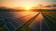 © Tanakorn - Beautiful sunset over solar panels in a green field, showcasing sustainable energy and a serene landscape.