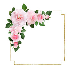 Wall Mural - Beautiful pink rose flowers and leaves in a floral corner arrangement with golden glitter frame isolated on white or transparent background