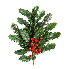 Wall Mural - [transparent background png]christmas holly and pine sprig decoration on white background