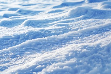 Wall Mural - A detailed view of snow-covered ground with intricate patterns and textures