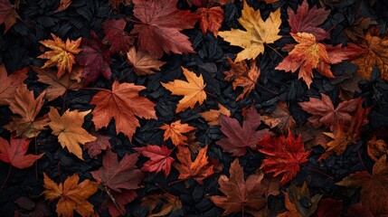 Poster - A bunch of leaves are laying on the ground in a pile, AI