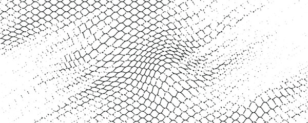 Black snake skin pattern isolated on white background eps 10