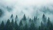 © Elvin - Dense Fog Enveloping a Pine Forest with Only the Tops of the Tallest Trees Visible Through the Mist, Creating a Mysterious Atmosphere. AI generated illustration