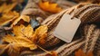 © tashechka - A cozy knitted blanket adorned with autumn leaves and a blank tag, capturing the essence of fall and comfort.