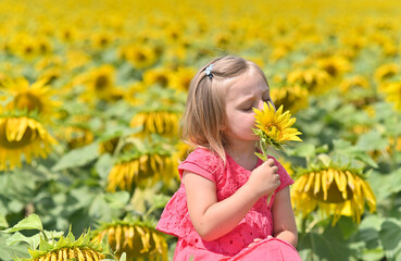 portrait of a 3-year-old girl with a sunflower flower