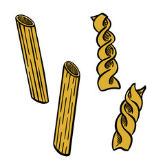 Hand Drawn Pasta Set Vector. Pasta Fusilli. Pasta Penne. Vector food illustration.