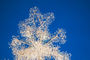 箱根のクリスマスのイルミネーション