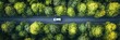 © Ilja - Aerial view of a white car driving through a dense forest on a straight asphalt road.
