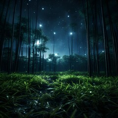 Canvas Print - a grass field in a forest at night. 