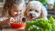 © anantachat - A young child feeding a pet dog with a bowl of food in a cheerful kitchen setting showing the development of responsibility and care through pet interaction. Stock Photo with copy space