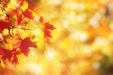 Wall Mural - Close-up of vibrant autumn leaves in red and yellow hues against a soft, blurred background.