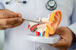 © Pakawadee - Asian doctor with ear human model to learn and treat hearing loss in patient.