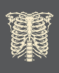 Ribs chest anatomy skeleton clip art illustration vector t shirt, sticker, tattoo, poster design editable
