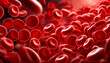 © O - Red blood cells circulating in the blood vessels.