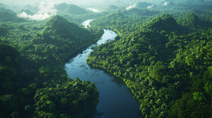 Wall Mural - River Through Jungle.