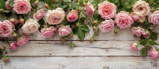 Wall Mural - White wooden board adorned with pink roses featuring copy space image.