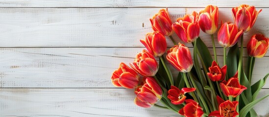 Wall Mural - Tulips for Mother's Day displayed on a white wooden backdrop with copy space image.