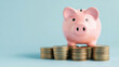 © si9nzation - Pink piggy bank with stacks of coins