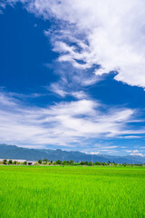 Poster - 夏の安曇野　爽やかな田園風景