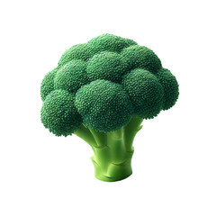 broccoli isolated on white background