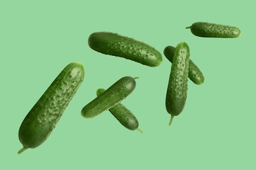 Wall Mural - Whole ripe cucumbers flying on green light background