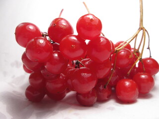 A cluster of fresh red currants is arranged against a white background, highlighting their plump and juicy appearance. These berries are ideal for adding flavor to various dishes