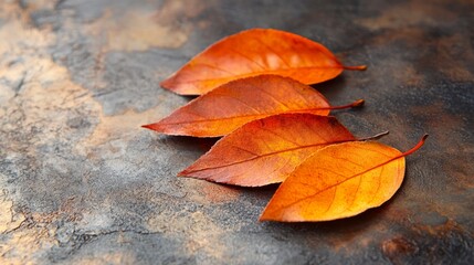 Wall Mural - Close-up photo of orange leaves resting on a smooth, neutral background emphasizing their vibrant color