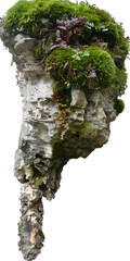 Wall Mural - [Transparent Background PNG]Isolated Rock Covered With Moss and Ferns