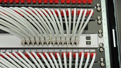 Wall Mural - CAT-6 patch cords  for connecting Ethernet switches to patch panels in a telecommunications rack.