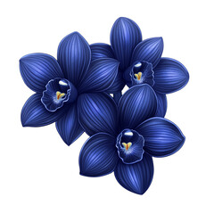 Wall Mural - Vector style deep indigo orchid with smooth petals and glowing highlights isolated on transparent background 