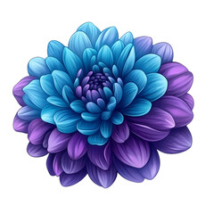 Wall Mural - Teal and purple chrysanthemum with layered petals and glowing contrasts isolated on transparent background 