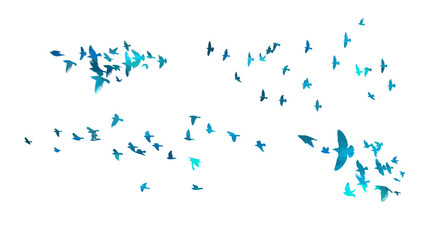 Wall Mural - Set of flocks of blue birds. hand drawing. Not AI. Vector illustration