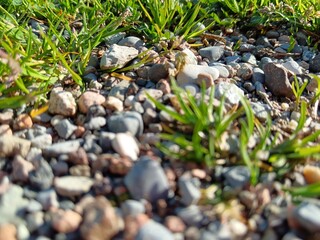 Stones on the  beach