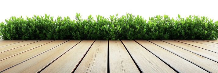 Wooden floor with green bushes isolated on transparent background - 1