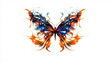 © Nebuto - a close up of a colorful butterfly