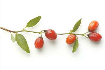 Wall Mural - Isolated Goji berries on transparent background. Healthy tropical fruit concept, high in vitamins and minerals. Fruit is juicy and fresh.