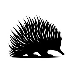 Wall Mural - Echidna silhouette, vector black color silhouette