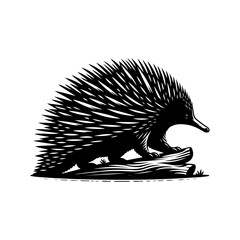 Wall Mural - Echidna silhouette, vector black color silhouette