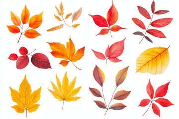 Wall Mural - In the autumn season, leaves are flying and falling in multi-color on a background with autumn foliage.