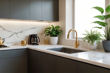 A kitchen with a sink, a coffee maker, and a potted plant. The sink is gold and the counter is white