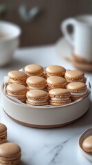 Wall Mural - Vanilla and white chocolate macarons are elegantly arranged in a ceramic box. The delicate pastries, with their smooth, glossy shells, contrast beautifully with the refined ceramic.