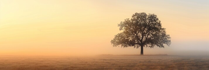 Sticker - Silhouette of a tree illuminated by early morning light in springtime