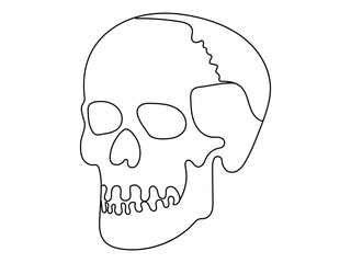 Wall Mural - human skull drawn one line art vector illustration   