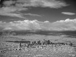 © Danita Delimont - Los Angeles, California, from the air, infrared black-and-white