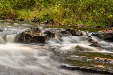 waterfall in the forest